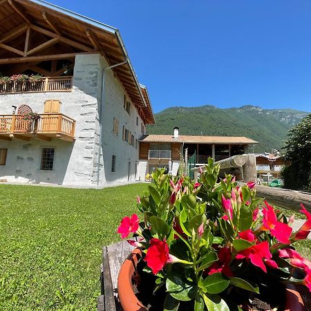 تيون دي ترينتو La Lesivera Bed And Breakfast المظهر الخارجي الصورة